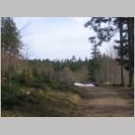 Bild (004).jpg